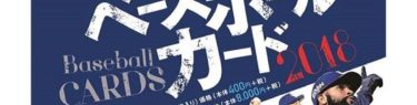 BBM 2018 中日ドラゴンズ