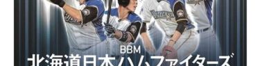 BBM 2018 北海道日本ハムファイターズ