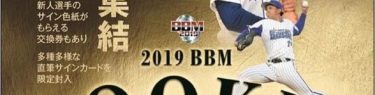 BBM 2019 ルーキーエディション