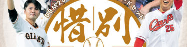 BBM 2019 ベースボールカードセット『惜別球人』