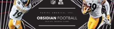 NFL 2019 PANINI OBSIDIAN FOOTBALL