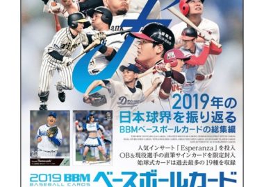 BBM 2019 ベースボールカード -FUSION-