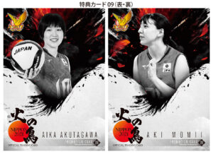 プロデュース216 2021 全日本女子バレーボール 『火の鳥NIPPON』【製品 ...