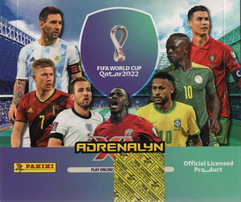 PANINI パニーニ 2002 FIFAワールドカップ カード 日本戦カード有