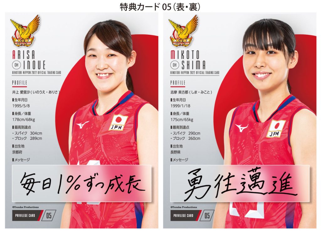 🏐 全日本女子バレーボール 火の鳥 NIPPON 2022 公式トレーディング ...