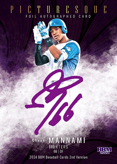 インサートカード FOIL PICTURESQUE万波中正 | Trading Card Journal