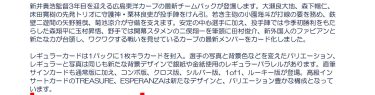 BBM 広島東洋カープ ベースボールカード 2025