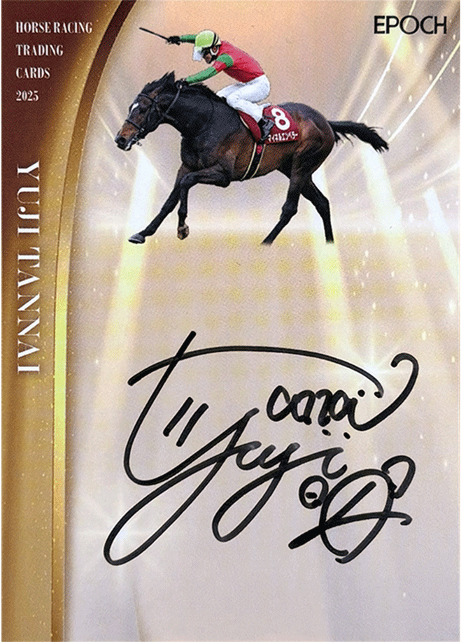 4 | Trading Card Journal